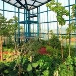 Días de Parque: Bicentenario Refineria Df