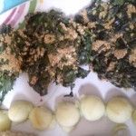 espinaca con amaranto