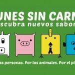 lunes sin carne zanahoria