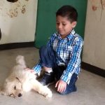 Golden Retriever y Niños