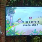 Desmintiendo 10 mitos de alimentación infantil